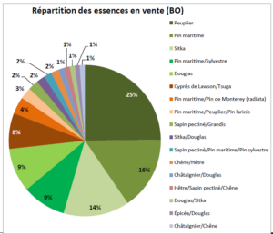Vente groupée printemps 2025 - Graphique répartion des essences