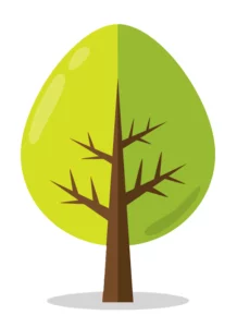 Laurent LE MERCIER Expert Forestier et Arboricole